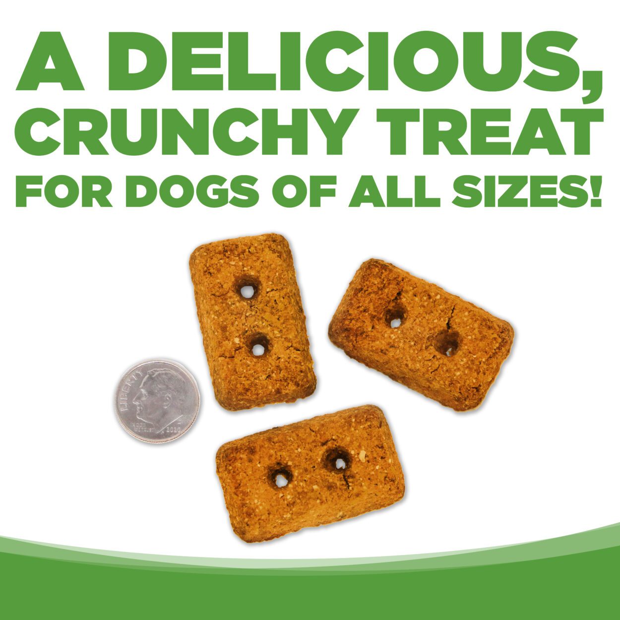 A DELICIOUS, CRUNCHY TREAT FOR DOGS OF ALL SIZES!