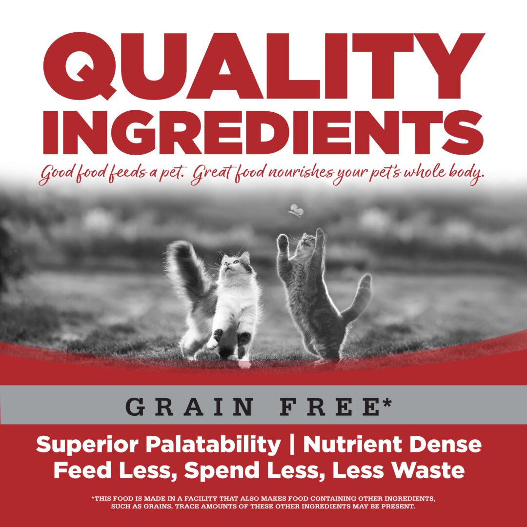 Beef GrainFree Wet Cat Food PureVita NutriSource Pet Foods