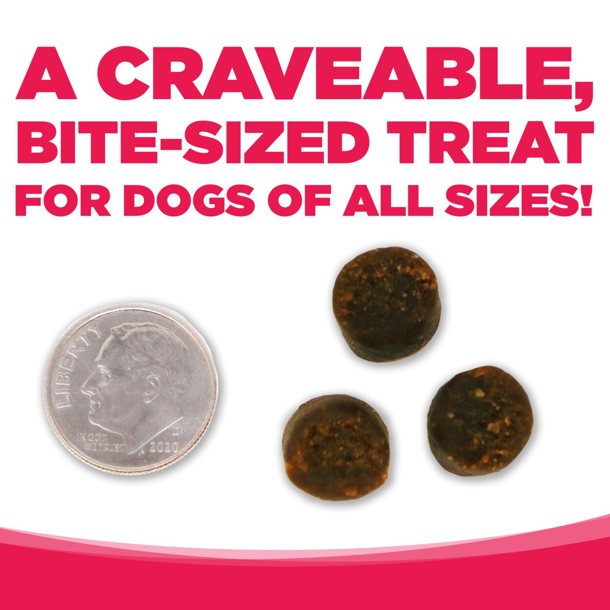 A CRAVEABLE BITE-SIZED TREAT FOR DOGS OF ALL SIZES!