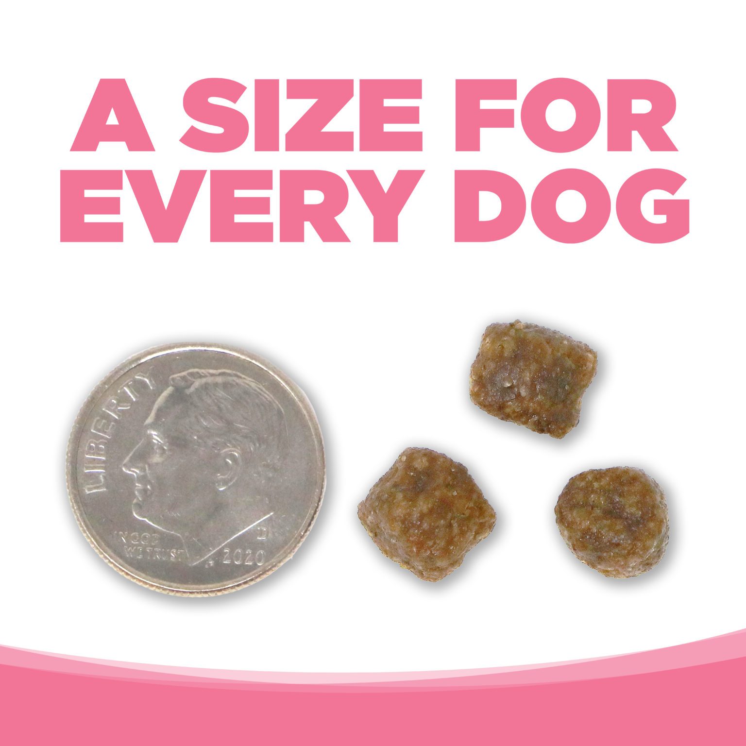 Small Bites Salmon & Peas Dog Food PureVita NutriSource Pet Foods