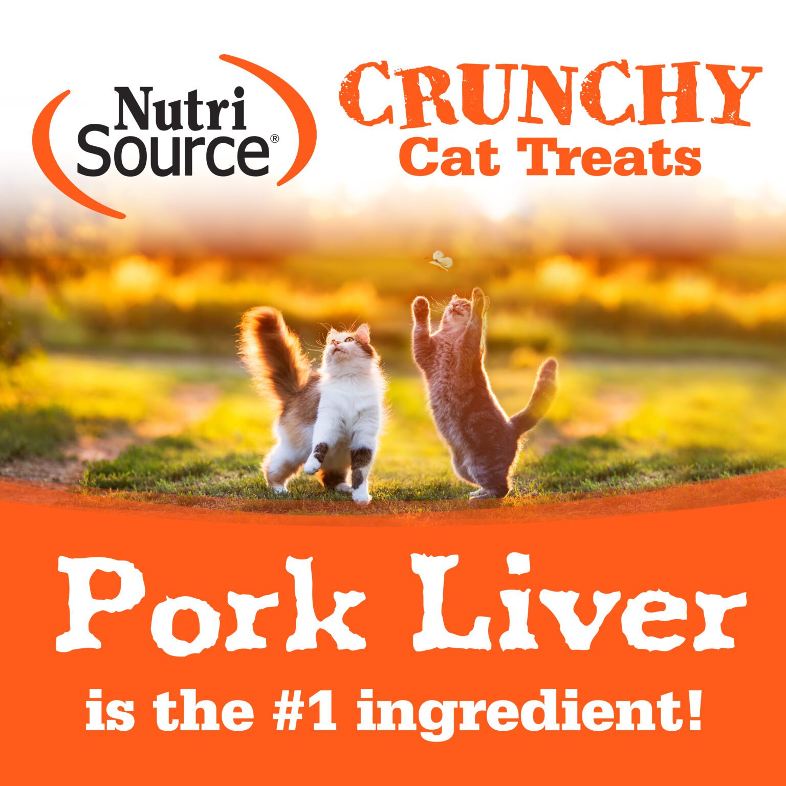 Healthy Cat Treats Crunchy Cat Liver & Cheese NutriSource Pet Foods