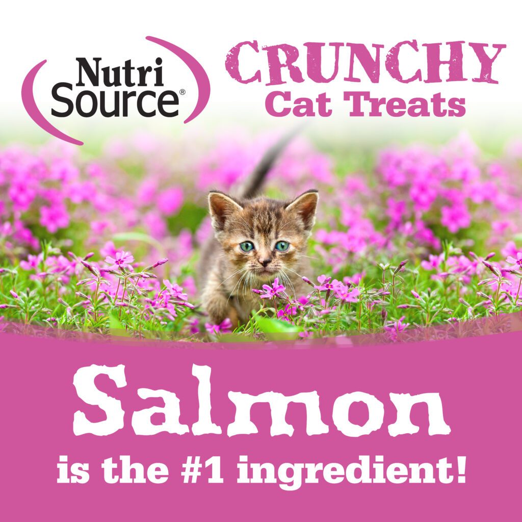 Healthy Cat Treats Crunchy Cat Salmon & Tuna NutriSource Pet Foods