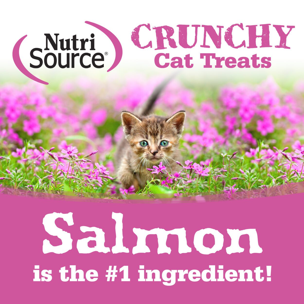 Salmon is the #1 ingredient!