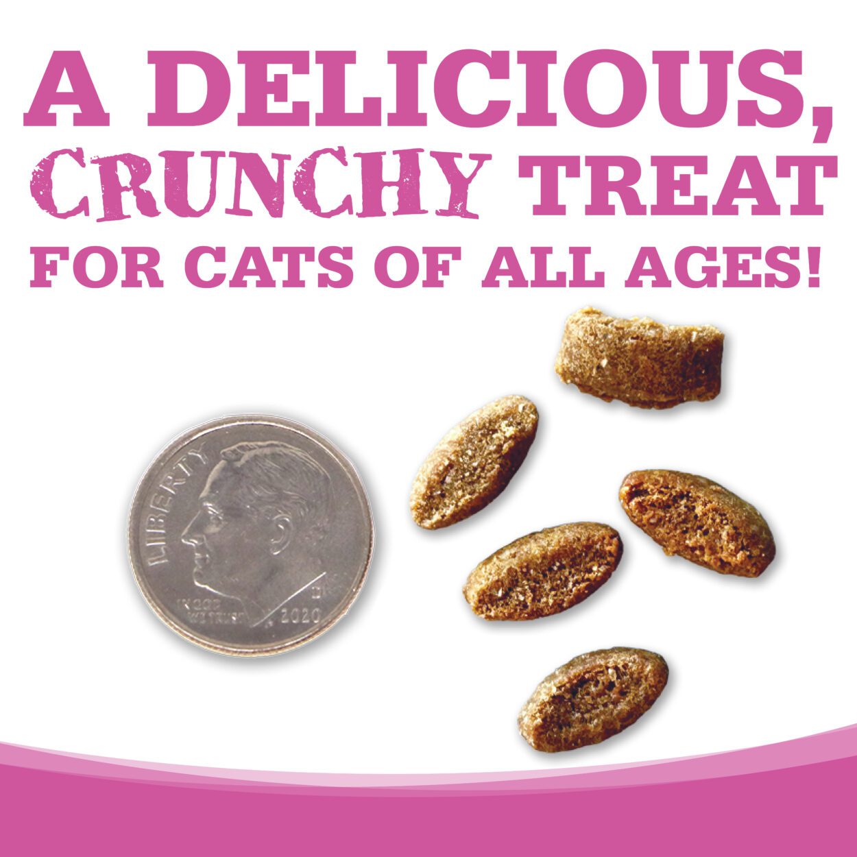 A DELICIOUS, CRUNCHY TREAT FOR CATS OF ALL AGES!