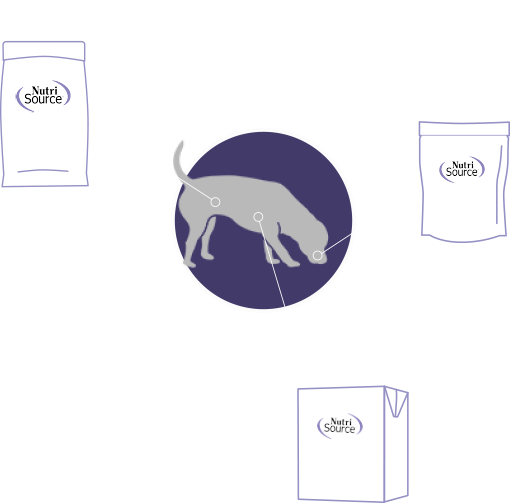 Diet Plan Diagram showing various NutriSource solutions contributing to dog's health