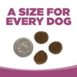 UN TAMAÑO PARA CADA PERRO