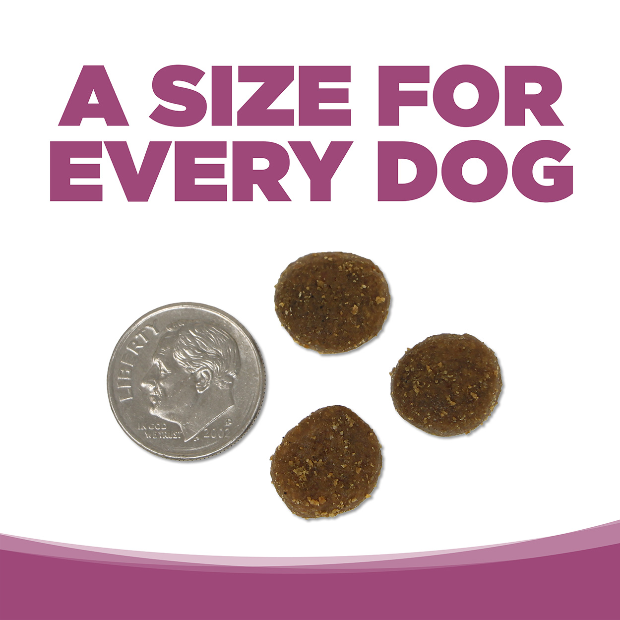 Wild Range High Protein Diet NutriSource Dog Food