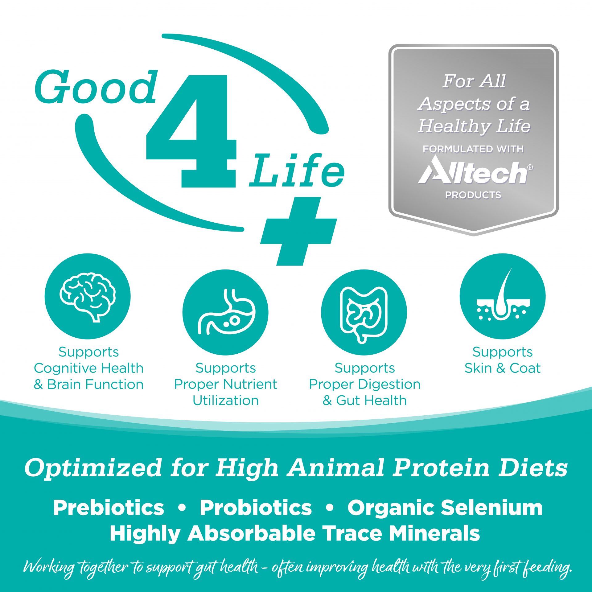 Good4Life SYSTEM: Supports Cognitive Health & Brain Function | Supports Proper Nutrient Utilization | Supports Proper Digestion & Gut Health | Supports Skin & Coat