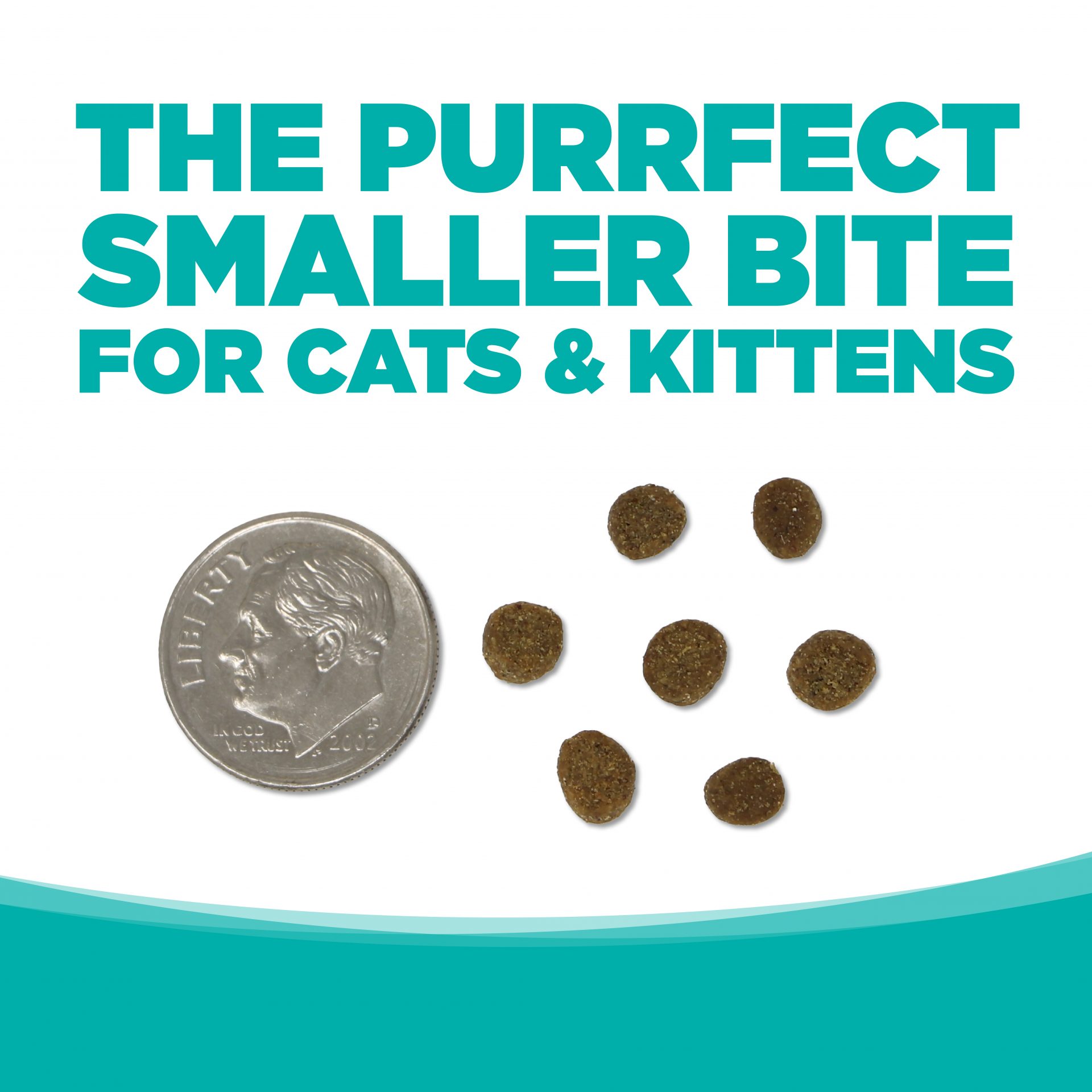 EL BOCADO MÁS PEQUEÑO PERFECTO PARA GATOS Y GATITOS