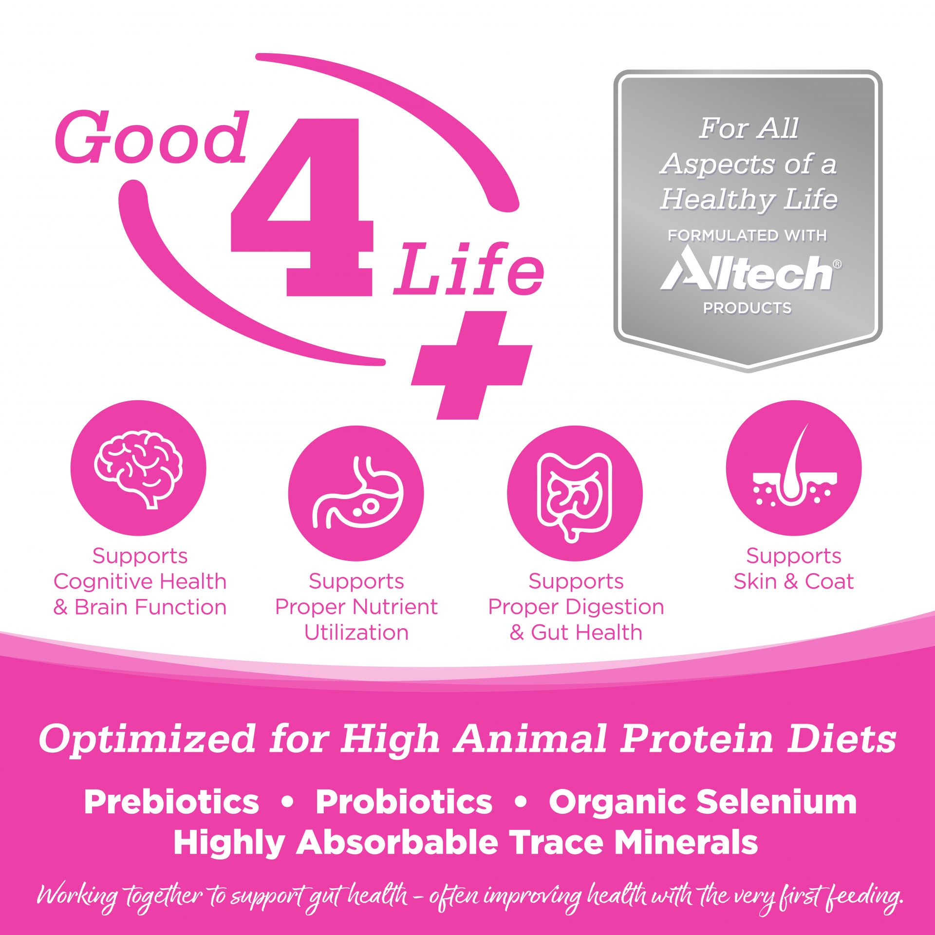 Good4Life SYSTEM: Supports Cognitive Health & Brain Function | Supports Proper Nutrient Utilization | Supports Proper Digestion & Gut Health | Supports Skin & Coat
