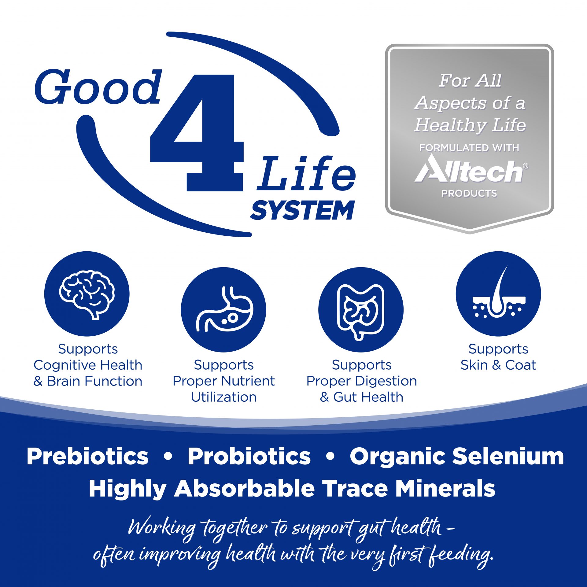 Good4Life SYSTEM