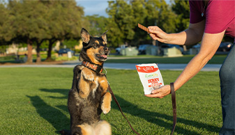 a dog doing a trick for a PureVita Jerky treat