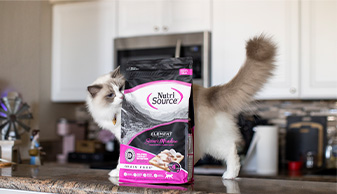 a cat on the counter beside a bag of Element Series kibble