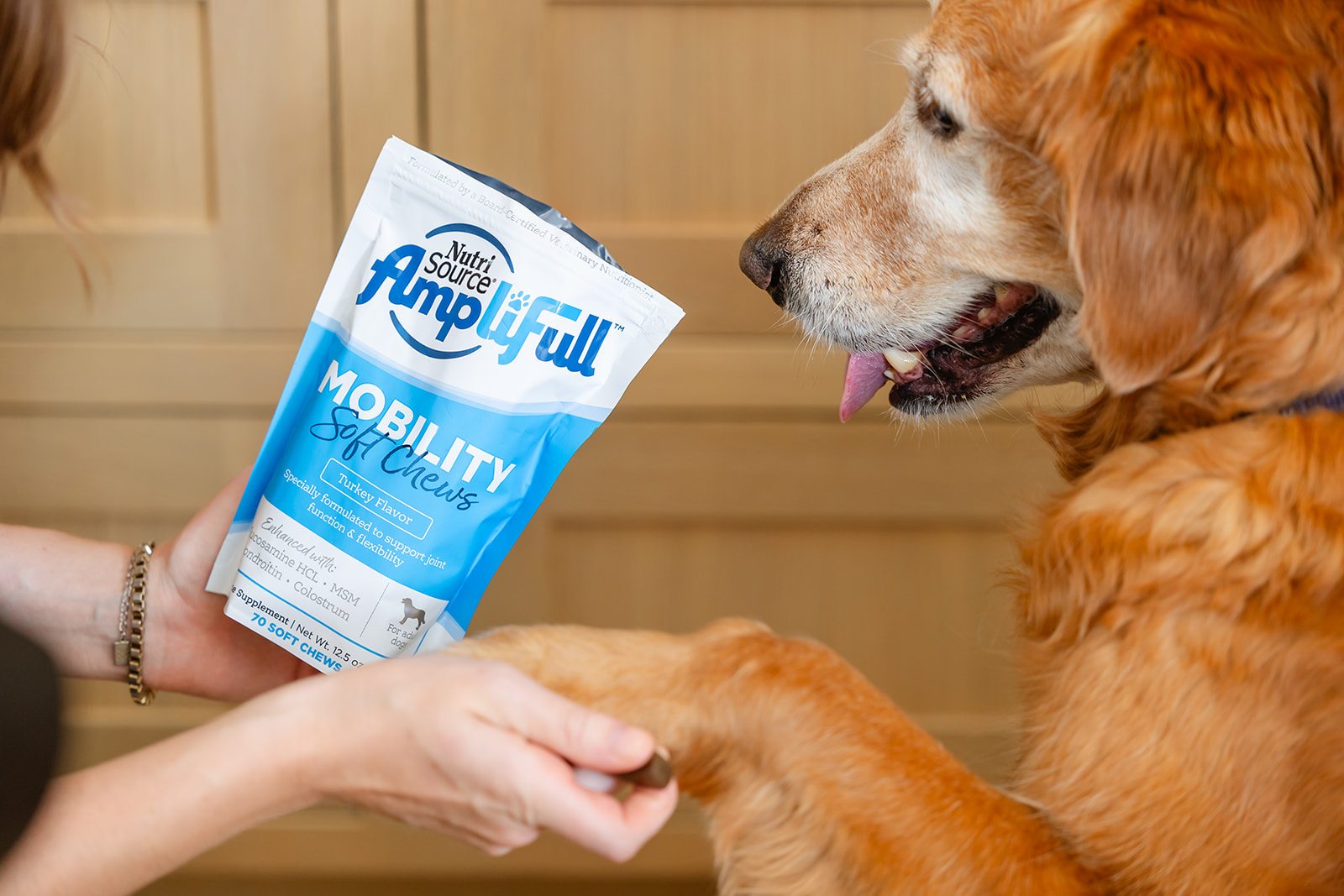 Supporting Your Dog’s Joints: Supplements for Mobility and Comfort