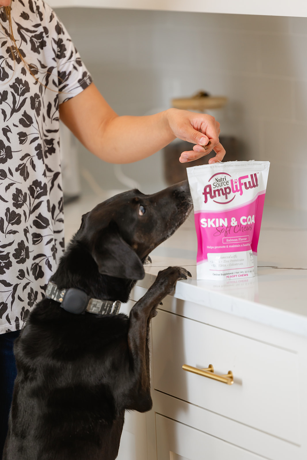 Itchy Pup? Try Supplements for Healthy Skin, Coat & Allergy Relief