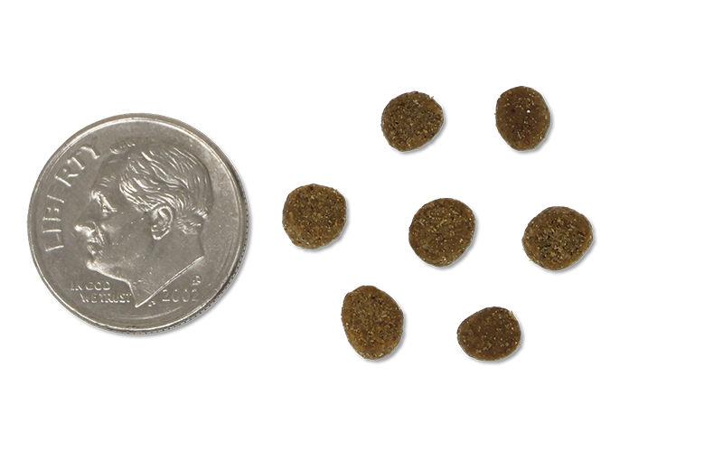 photo of a dime beside a handful of pieces of round cat kibbl