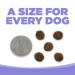 UNE TAILLE POUR CHAQUE CHIEN