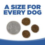 UNE TAILLE POUR CHAQUE CHIEN