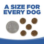 UNE TAILLE POUR CHAQUE CHIEN
